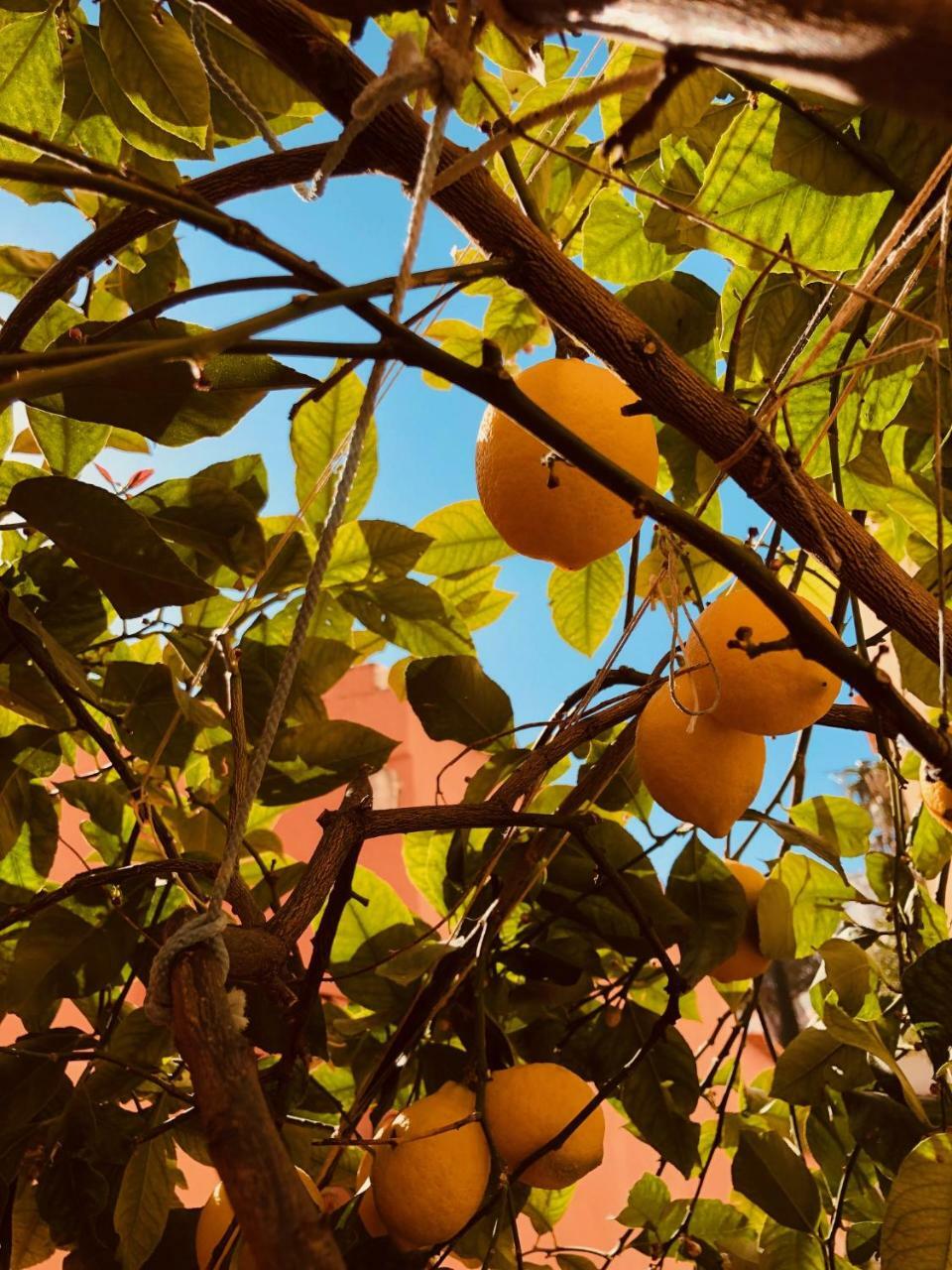 A Casa Dei Sasso Vila Positano Exterior foto